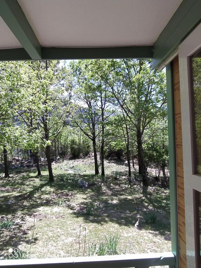 Chalet De Caralba Piscine Βίλα Ghisoni Εξωτερικό φωτογραφία