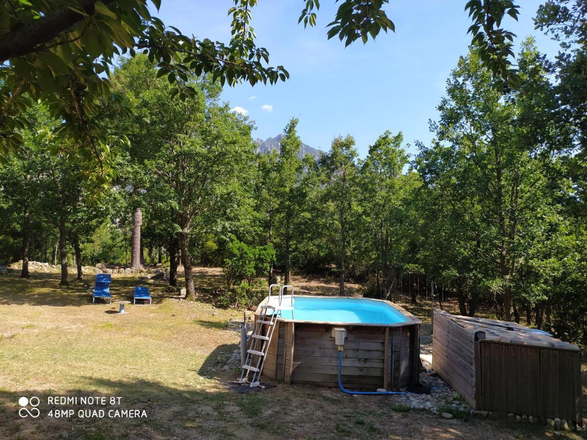 Chalet De Caralba Piscine Βίλα Ghisoni Εξωτερικό φωτογραφία