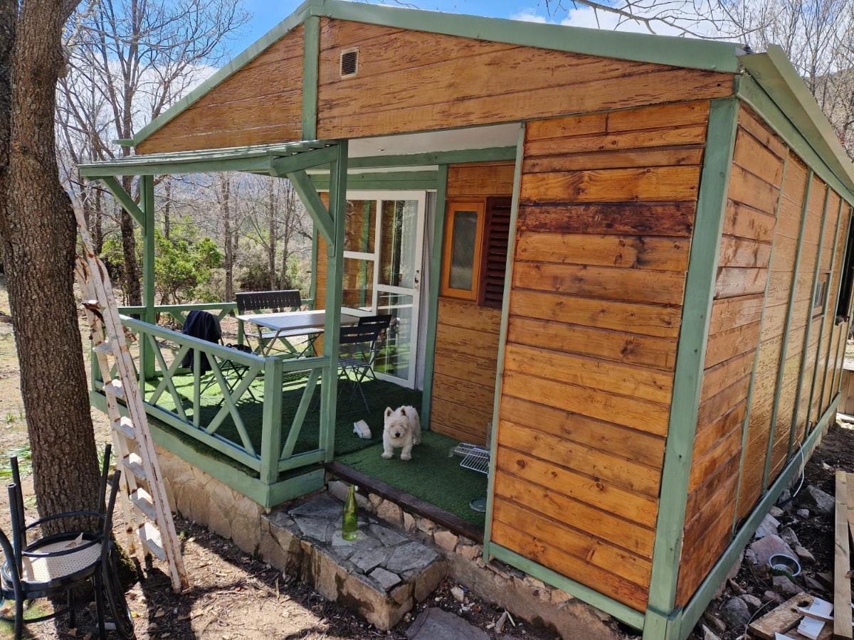Chalet De Caralba Piscine Βίλα Ghisoni Εξωτερικό φωτογραφία